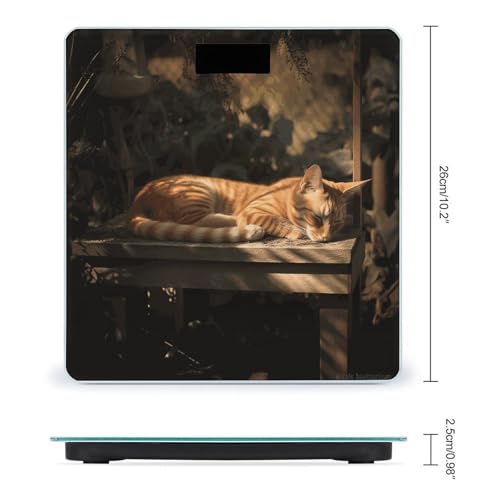 Báscula Digital de Baño Orange Cat Sleeping miniatura 2