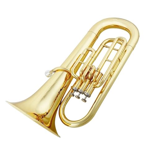 vtFbVi[tHjA Btbg3g[[tHjAbJ[S[h[tHjAS҃oh