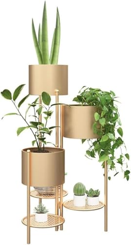 Tcrciuk t[X^h |bN   6i6 Aؑ  kԑ ܂肽݉\ [bN ԒuI (40*40*79.5cm,S[f)