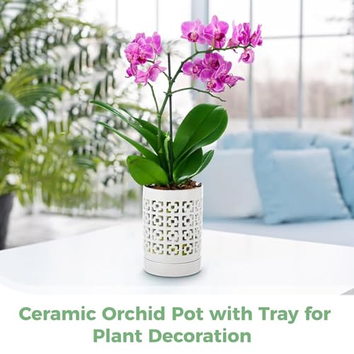 Pot à orchidées en céramique perforée de 4 pouces avec drainage optimal