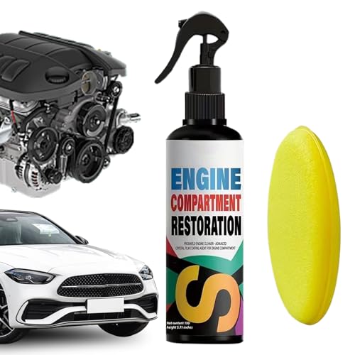 CGACCSD Spray Detergente per Motore | 100 ml Prodotti Multiuso Per Detailing - Pulitore per Vano Motore Automotive ad Alta Resistenza,Per Camion RV SUV Vano Ruota Olio Grasso E Sporcizia