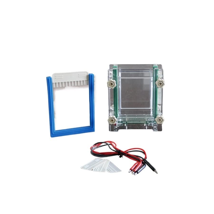 Réservoir d'électrophorèse de type sandwich DYCZ-28A vertical pour analyse de protéines