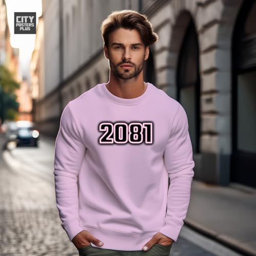 Sweatshirt rose clair pull unisexe tendance mode urbaine 2081 - 2