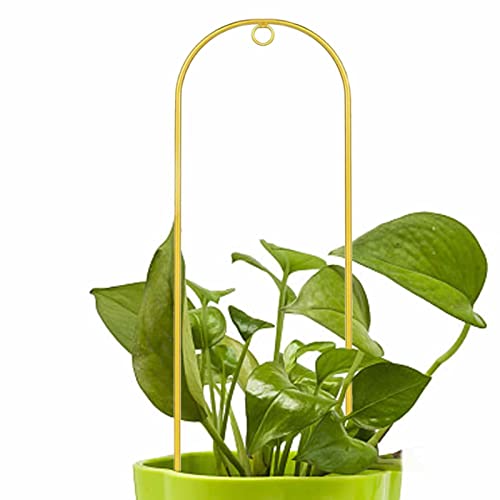 Treillis pour plantes d'intérieur | Grille dorée bombée pour plantes grimpantes, grille dorée avec agate pour vigne Pothos, lierre, philodendron, pot d'escalaPacienjo