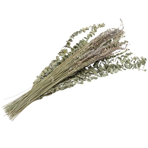 Ramo de hojas de eucalipto y lavanda seca 12 tallos miniatura 1