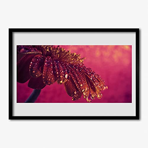 Affiche encadree plante d'arbre sauvage 70x50 cm contre les cadres fragiles qui se deforment