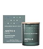 Skandinavisk ARKTIS ’Arktis’ Duftkerze, Sonderedition, Duftnoten: Stürmische Wälder und arktischer Salbei, Pfefferminz und Schneeflocken, 65 g