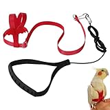Harnais réglable pour Perroquet Laisse pour Animal Domestique Corde Anti-Morsure Sangle élastique pour Oiseaux perroquets cacatoès aras
