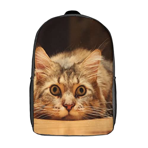 Sac à dos imprimé chat pour le collège et les sorties loisirs