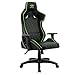 SPIRIT OF GAMER – Chaise Gaming Néon Series – Fauteuil de Bureau Ergonomique – Coussin Lombaires intégré – Accoudoirs 1D réglables – Siège Similicuir Capitonné - Inclinable 160° (Vert)