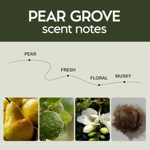 Image of Scented Car Air Freshener - Long Lasting Essential Oil Diffuser - Car Accessories for Men & Women - Pack of 2 Non-Toxic Car Air Freshener - 0.27FL OZ /8ML (Pear Grove 8ml, Pear)