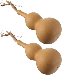 VALICLUD 2 Pcs Artesanato Natural Gourd Dry Gourd Garrafa Chinês Tradicional Gourd Desktop Mini Gourd Decorative Gourd Ornamento