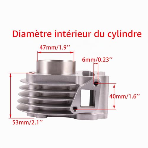 WOOSTAR 47mm Cylindre avec Culasse avec Jeu de Segments de Piston et Joints Assemblée Remplacement pour GY6 72cc 80cc Taotao 49cc 50cc 4 Temps 139QMB 139QMA Moteur Scooter Cyclomoteur ATV – vue 2