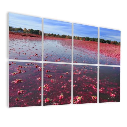 8 Pack Art Acoustic Panels Self Adhesive Cranberries Float bog Decorative Soundproof Wall Panels Sound Absorbing Panel 48"x32" for Office Home Studio