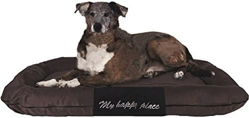 Luxury Orthopedic Solid Memory Foam Pet Bed Pad with External Strong Tough Oxford Waterproof Cover Case for Small to Extra Large Dog (48x30 inches, Brown)