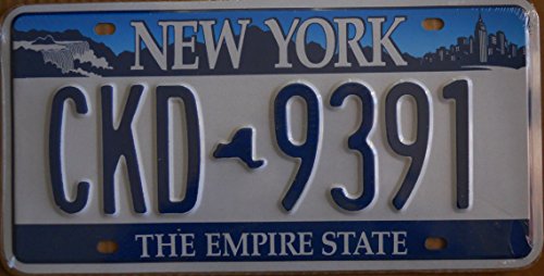 Fabbri US-Kennzeichen, Bundesstaat New York, Nachbildung, Maße: 31 x 16 cm