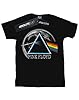 Pink Floyd Men's Dark Side of The Moon Distressed T-Shirt Black Small #1