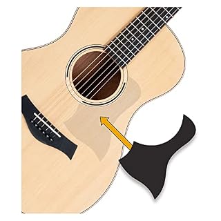 Shaman WSF-10 NT Guitare folk - Les Beatles, Paul McCartney, John Lennon, RIngo Starr, George Harrison Shaman WSF-10 NT Guitare folk – Image 7
