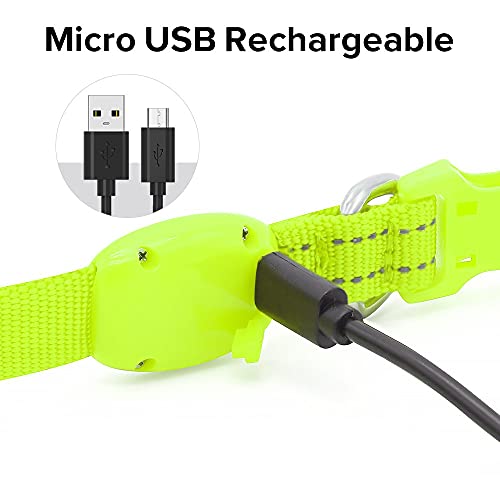 Bseen Light Up Dog Collars - Adjustable Puppy Collar, Rechargeable Led Dog Collar For Small Dogs, Adjustable Cat Collar, Glowing Dog Lights For Night Walking (Green, Xs) #TOP2