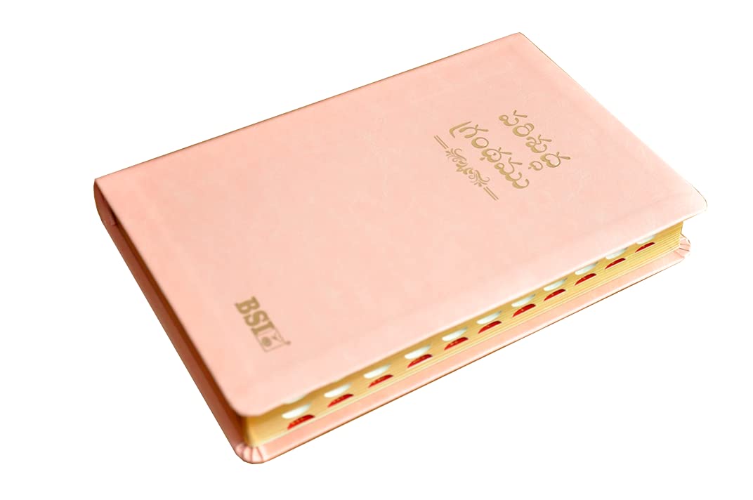 Telugu OV Gilt DY TI Pink PU Yaap
