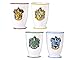 Harry Potter Mug Drinking Glass Goblet Cup Set 12 Oz. Hogwarts Houses (Gryffindor, Slytherin, Hufflepuff, Ravenclaw)