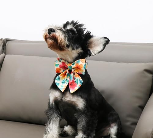 Unique style paws Dog Collar, Colorful Flower Dog Collar, Adjustable Comfortable Cotton Bow Tie Collar for Boy Girl Dogs, Bowtie Collar with Metal Buckle, S, Neck 10-16in - Image 4