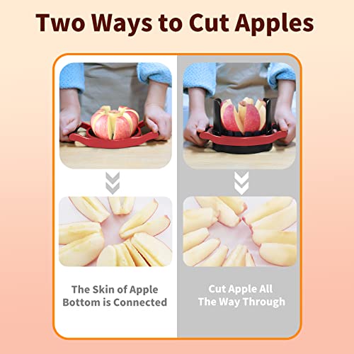OOKUU Apple Slicer Corer, [Large Size] 8-Blade Heavy Duty Apple Cutter with Base, [Upgraded] Cut Apples All The Way Through, Stainless Steel Ultra-Sharp Blade, Fruit & Vegetable Divider, Wedger, Red - Thumbnail 3