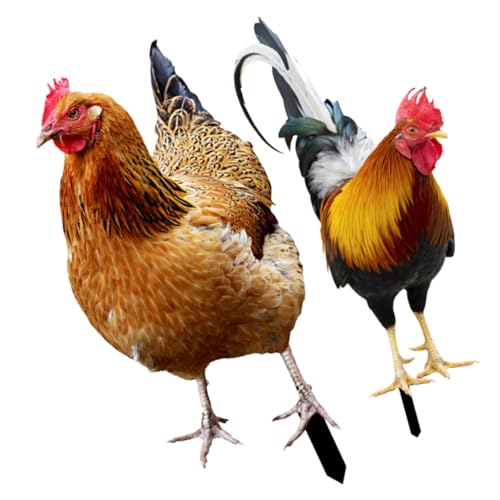 Happyyami Gartenfiguren Für Draußen Wetterfest 2er Set Garten Huhn Steckfigur Uv Beständige Hühner Deko Für Garten Hof Und Terrasse Witzige Gartenkunst Für Außendekoration Wetterfest Und Langlebig