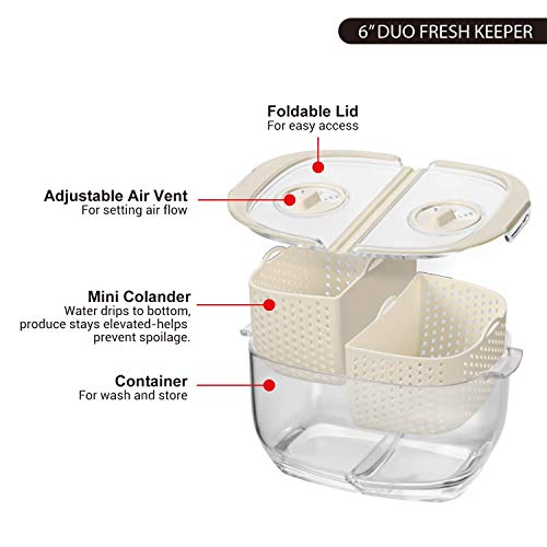 LUXEAR Vegetable Fruit Produce Storage Containers, Partitioned Produce Saver Fridge Storage Container, Fresh Lettuce Keeper, Used in Storing Fruits Veggie Salad - BPA-free - 2Piece - Thumbnail 7