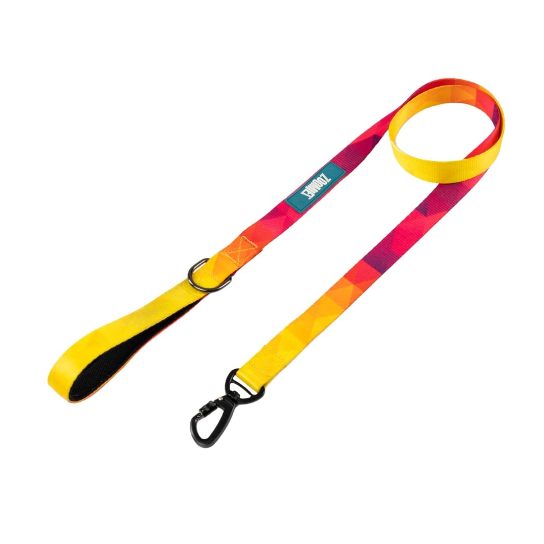 Zoomiez Printed Dog Leash/Lead with Comfortable Padded Handle, 4 Ft with Heavy Duty Slide Locking Hook - Solar (B0BRN155NR) Amazon Price History, Amazon Price Tracker