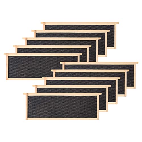 BeeCastle Medium Beehive Frames and Wax Foundations 10 Pack Honey Bee Frames with Wooden Bee Hive Frames and 100% Beeswax Coated Foundations 6-1/4-Inch (Black)