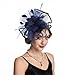 SAFERIN Fascinator Church Feather Mesh Net Veil Party Hat Flower Kentucky Derby Hat with Clip and Hairband for Women (TA1-Large Size Navy Feather Mesh)