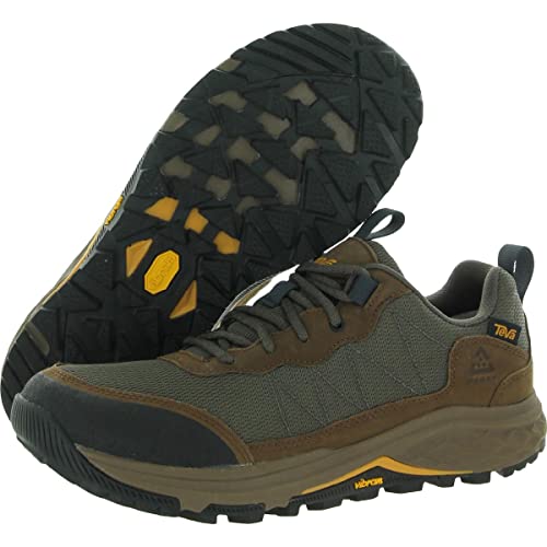 Teva Men's Ridgeview Rp Hiking Shoe, Bison/Bungee Cord, 9 #TOP2