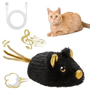 Vealind Elektrische Spielmaus Katzenspielzeug für Katze