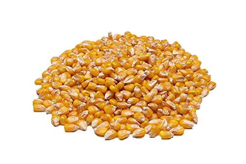 Saco de Grãos de Milho-5 Kg