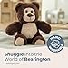 Bearington Lil' Beau Teddy Bear Stuffed Animal - 7