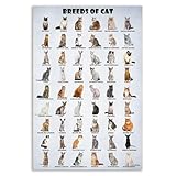 immagine banner Amazon