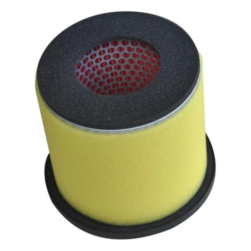 Filtre à air moto et essence pour King Quad évite les ratés moteur