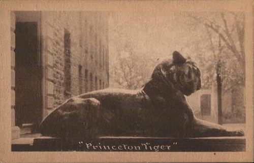 Princeton Tiger Princeton, New Jersey NJ Original Antique Postcard