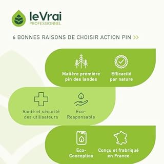 LE VRAI PROFESSIONNEL – Nettoyant Sol & Multi-Surfaces – Détergent Alcalin & Dégraissant Non Moussant – Apte Contact Alimentaire – Parfum Pin des Landes – Fabrication Française – Bidon 5L