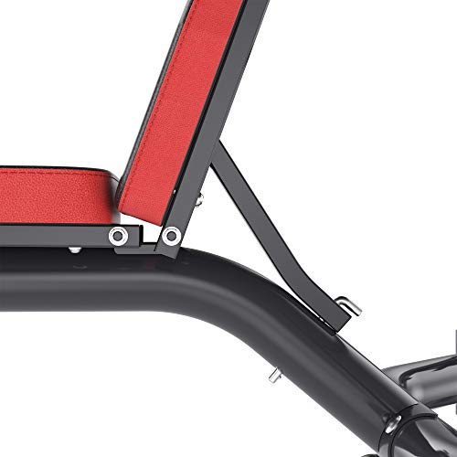 Soozier Heavy Duty Weight Bench Multiple Function Workout Bench with Preacher Curl, Leg Developer