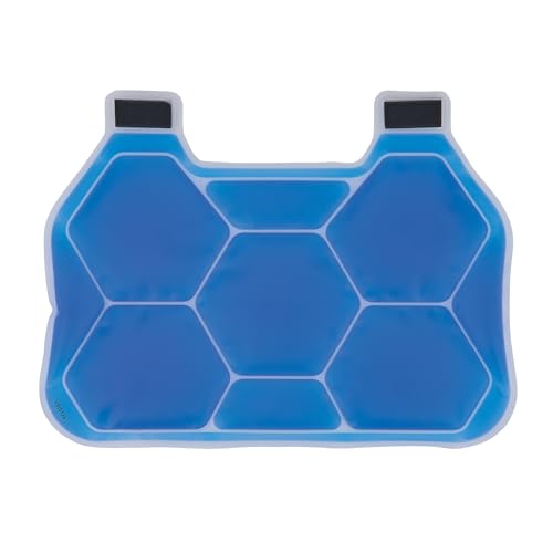Pack de glace pour gilet Ergodyne Chill Its 6220 transparent x2