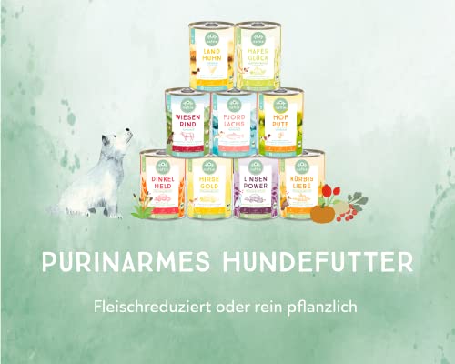 naftie Bio Hundefutter Land Huhn - Premium Nassfutter Menü mit Hühnchen & Reis - glutenfrei - purinarm - Diät-Futter nass - Sparpaket 6X 800g