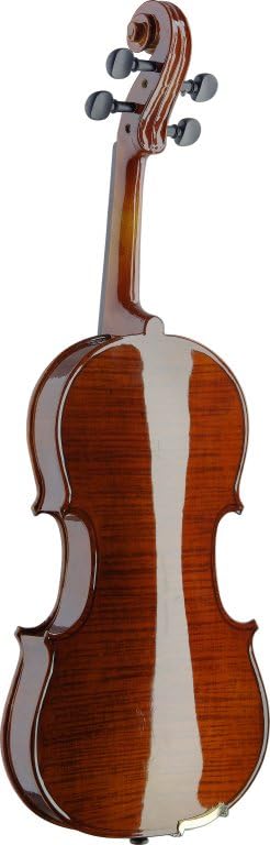 Amazon.com: Stagg VN4/4-SB Violin - 4/4, Sunburst : Musical