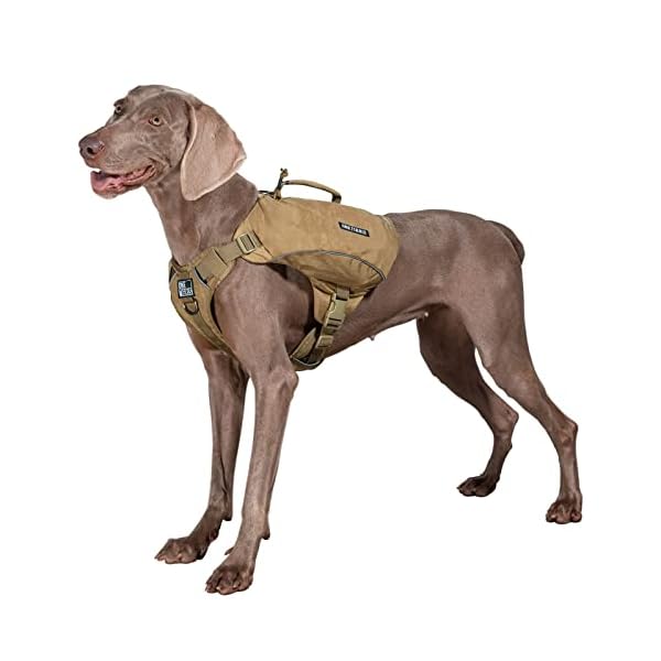 OneTigris-Y-Shaped-Dog-Backpack-No-Pull-CAMLUS-Dog-Saddle-Bag-with-D-Rings-Lightweight-Dog-Pack-Hiking-Gear-for-Dogs-Hunting-Camping-Travel OneTigris Y-Shaped Dog Backpack - Adventure Buddy for Outdoor Adventures
