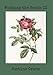 Working the Bench II: A Practical Guide  for the Apprentice Natural Perfumer (Volume 2)