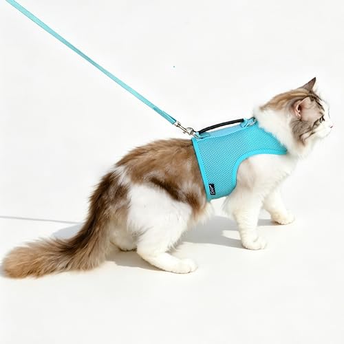 Image of Kitty Harness and Leash for Walking Escape Proof Breathable Mesh Fabric, Turquoise, Small, Adjustable Cat Walking Jackets with Handle, Padded Stylish Cat Vest