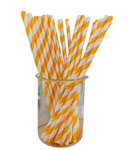 Sailozai ĝăXg[AJtA𐫁A500/1000 {̃Xg[ZbgAfU[ge[ȗANGCeBuȃACeAaAAp[eB[ɍœK (1000,IWƔ̃XgCv)