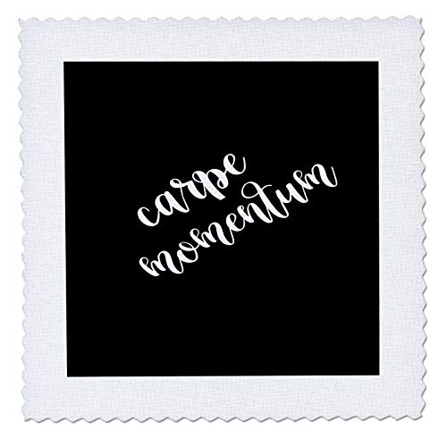 16x16 inch Quilt Square - Carpe Momentum Motivational Saying TDSwhite – Text Sayings Motivation Inspiration