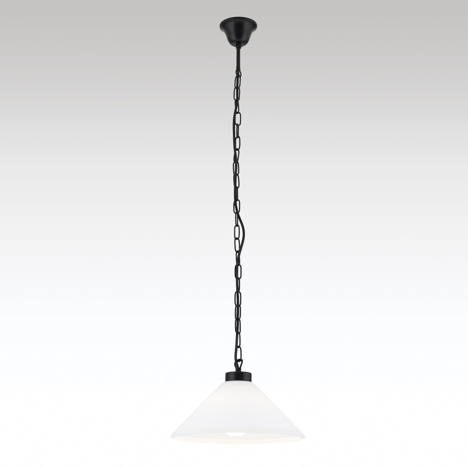 ORION LIGHTSTYLE Suspension de chaîne avec douille E27 - Anneau à vis - Suspension de lampe - Chaîne (noir)